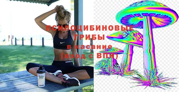 spice Балабаново