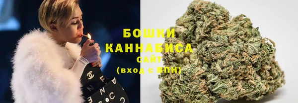трава Балахна